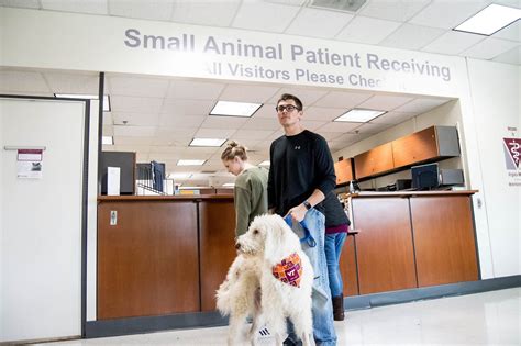 About the Veterinary Teaching Hospital | Veterinary Teaching Hospital | Virginia Tech