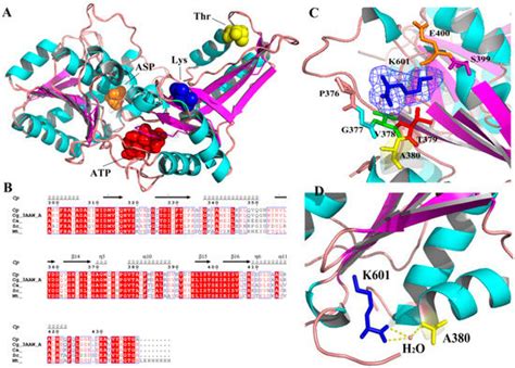Molecules | December 2018 - Browse Articles