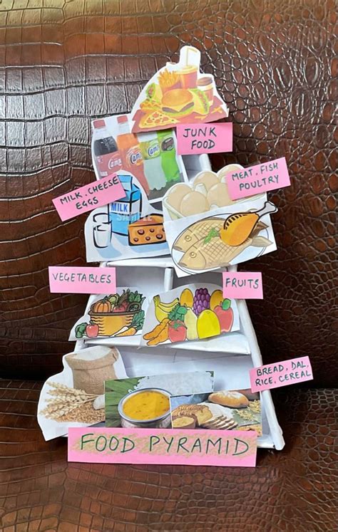 Food Pyramid Project Work 的图像结果