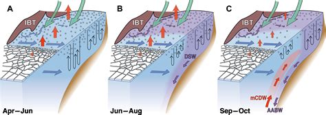 Dominant frazil ice production in the Cape Darnley polynya leading to Antarctic Bottom Water ...