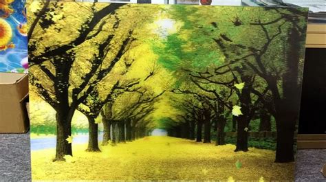 3d Lenticular Sheet - 3D Lenticular Sheet Trader - Wholesaler ...