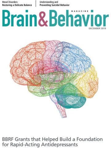 Brain and Behavior 的图像结果