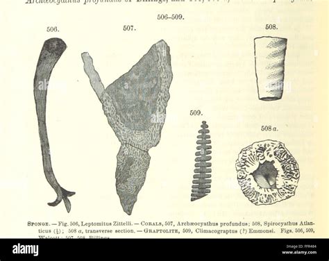 Image result for Geological Principles