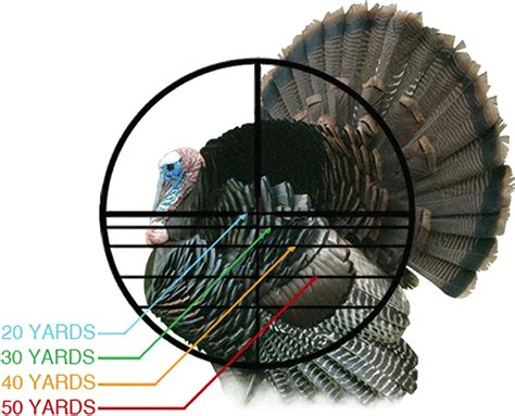 Rangefinding Scope for Crossbow 的图像结果