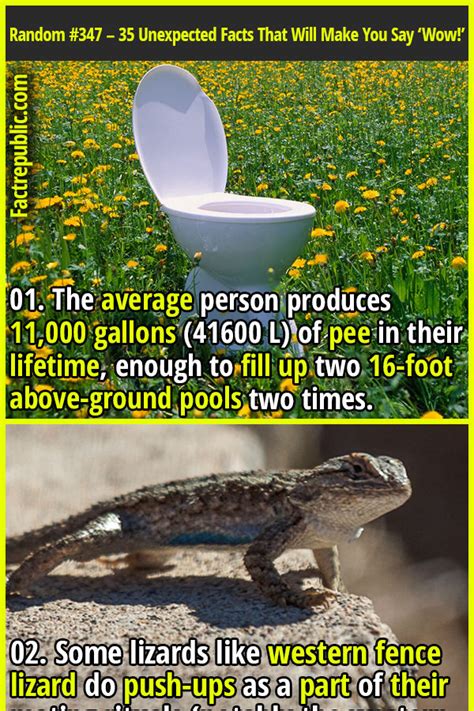 Image result for Most Random Fact Ever