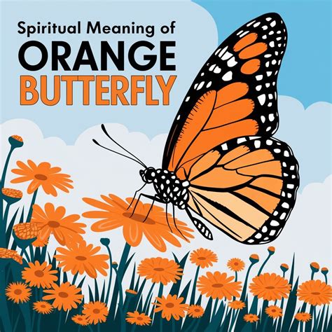 14 Spiritual Meanings of Orange Butterfly: A Guide To Inner Wisdom