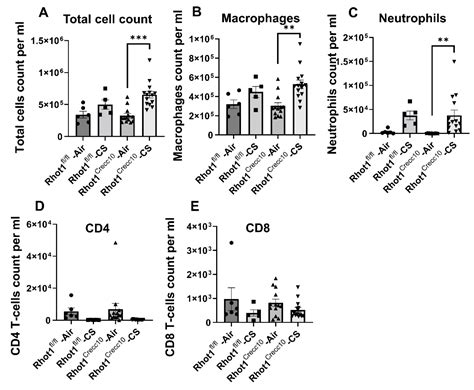 Epithelial Ablation of Miro1/Rhot1 GTPase Augments Lung Inflammation by ...