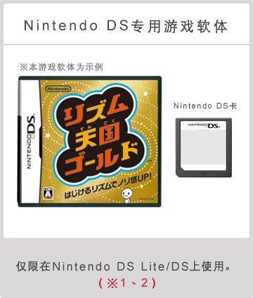 999 NDS Games in One Nintendo DS/DSi/3DS/3DS XL Boys