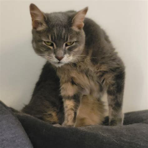 You lock eyes with this guy from across the bar, what are you doing ...