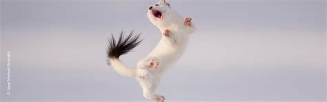 Photographer 的图像结果