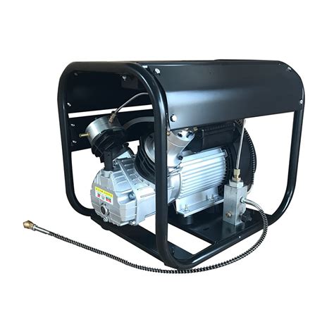 Buy WENHU 4500Psi 300Bar 30Mpa PCP Air Compressor High Pressure Pump ...
