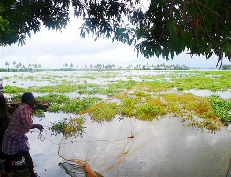 Beautiful backwaters of Kerala - India Today