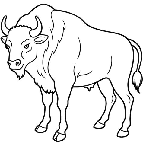 Bold one line drawing and animal vector illustration of big bison for ...