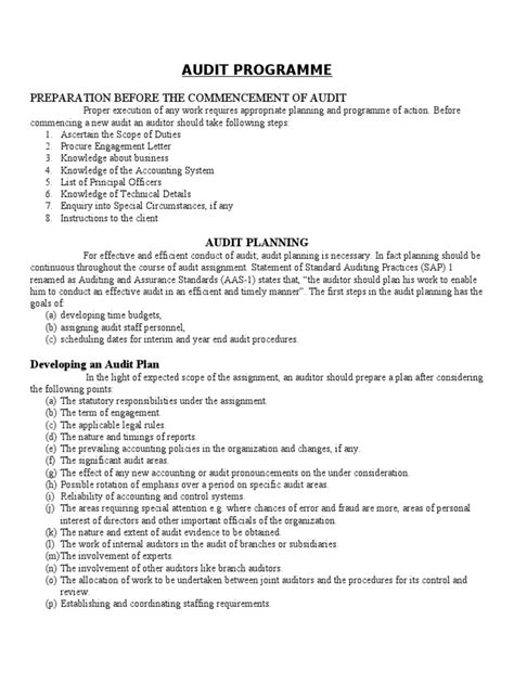 Audit Program 的图像结果