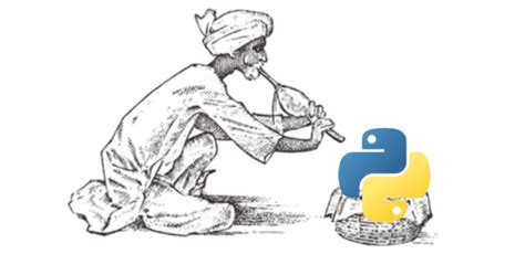 Image result for Love Python Code