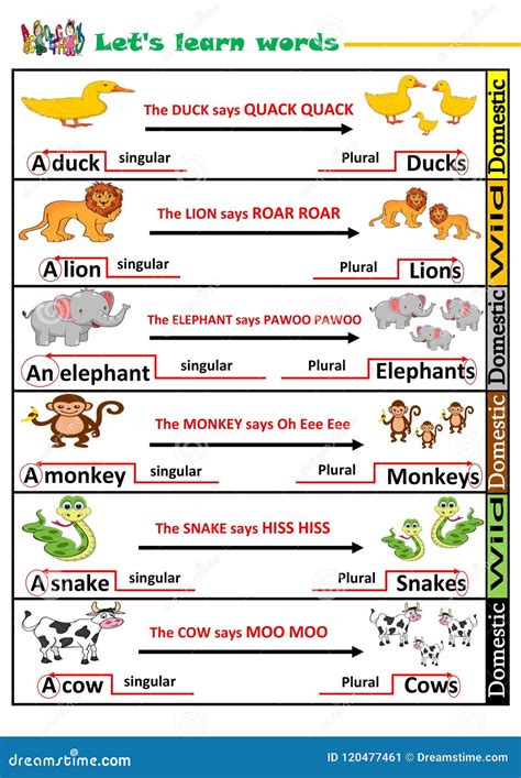 Wild and domestic animals stock illustration. Illustration of snake ...