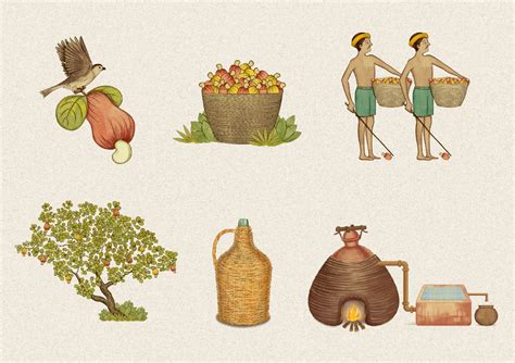 Illustrations for Cazulo Feni - brand of alcoholic beverages - villacmyk