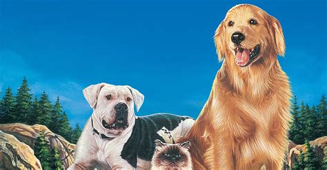 The 40+ Best Movies About Talking Dogs, Ranked By Fans