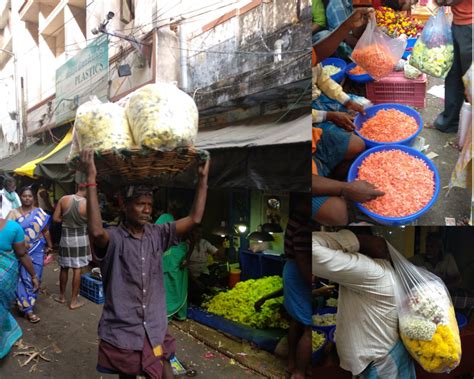 Single-use Plastics in Chennai Markets: Pre- and Post-ban | CAG