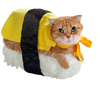 Japanese_Sushi_Cat2.jpg