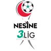 Nesine 3. Lig 3. Grup 2026 - Futbol, Türkiye | Livescore.in