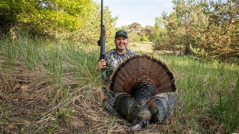 Turkey Hunting Tips 的图像结果