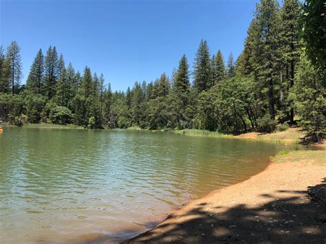 Lake Francis Resort Camping | Oregon House, California
