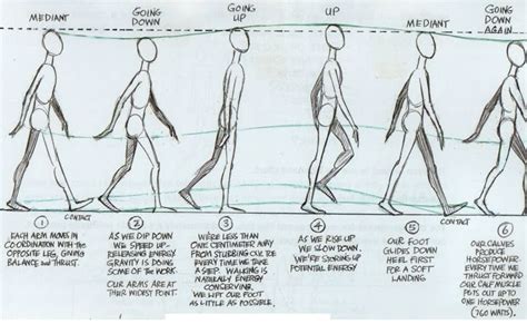 Image result for Action/Animation Cycle