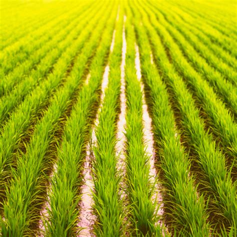 Welcome To GPR Group