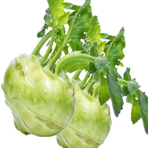 Knol Knol ( 250 Gm)
