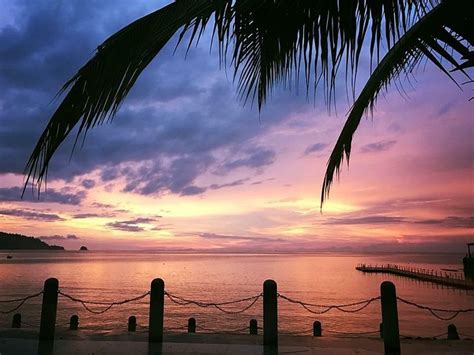 GO DEEPER TIOMAN (Pulau Tioman) - Lodge Reviews & Photos - Tripadvisor