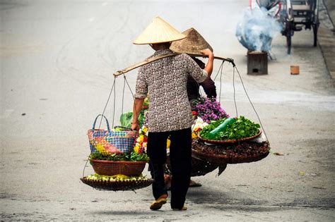 越南卖花人供营商在河内 库存照片. 图片 包括有 曲线, 高地, 字段, 管理, 巴厘岛, 绿色, 增长 - 65059542