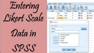 Code Likert Scale SPSS 的图像结果
