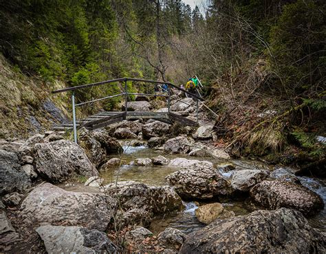 Poland 的图像结果
