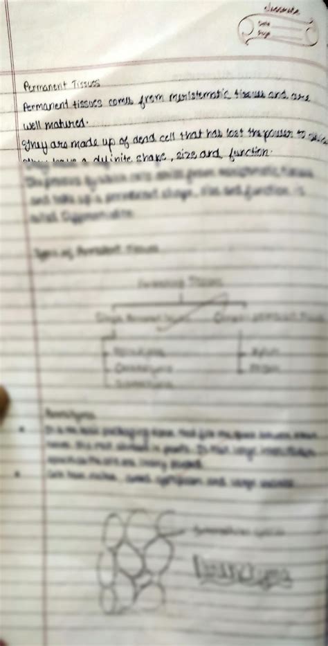 Image result for Tissues Class 9 Notes Byjus