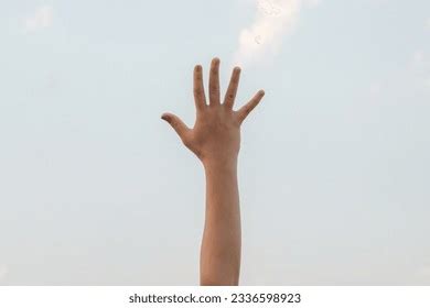 5 in Sign Language 的图像结果