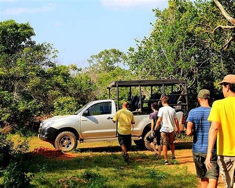 Turtle Conservation Project Turtle Watch (Rekawa) - 2022 What to Know ...