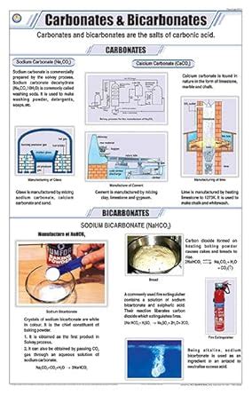 Buy STC12 | TeachingNest | Carbonates and Bicarbonates Chart (58x90 cm ...