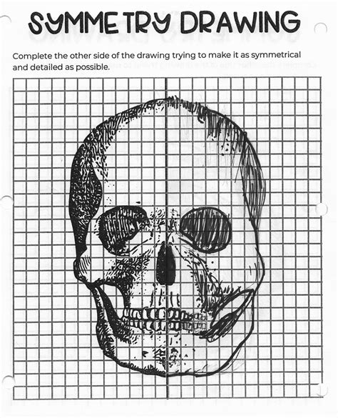 Symmetry Drawings Animal Symmetry: Over 20,629 Royalty Free Licensable