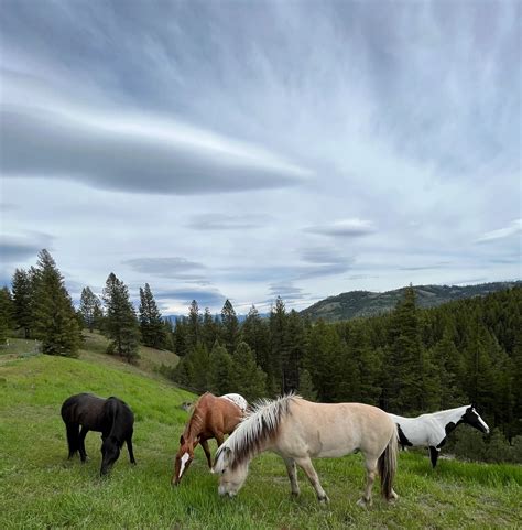 Image result for Back Course On a Map