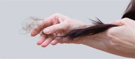 Why Does Hair Fall Occur And How To Prevent It? – Re'equil