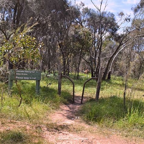 SPRING GULLY CONSERVATION PARK (2025) All You Need to Know BEFORE You ...