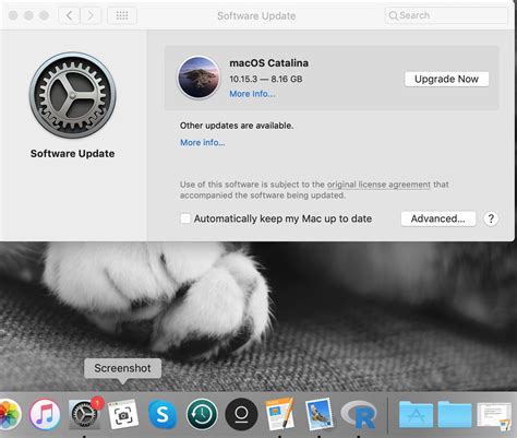 Image result for Software Update Notification
