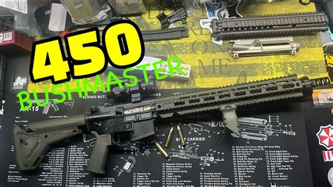 Image result for Bushmaster Off-Grid Build