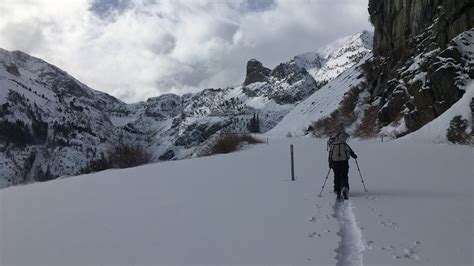 Yosemite’s Tuolumne Meadows is now the snowiest it’s ever been, records ...