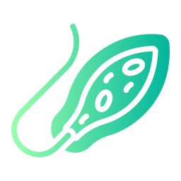 Euglena - Free icons