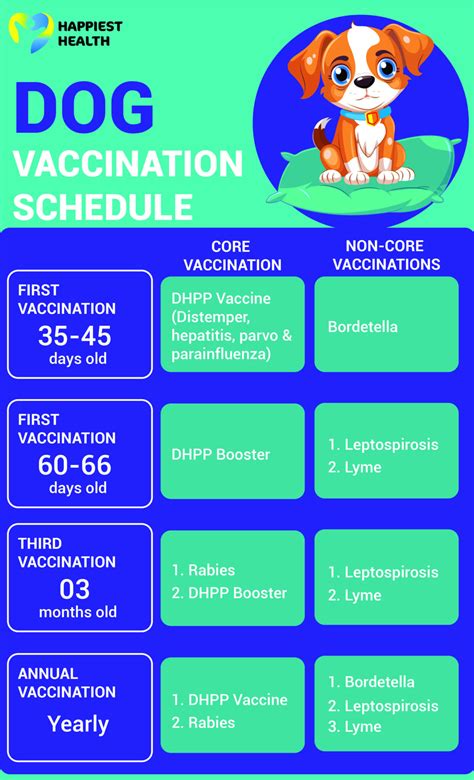 Petco Vaccination Schedule For Dogs - Vaccine Schedule