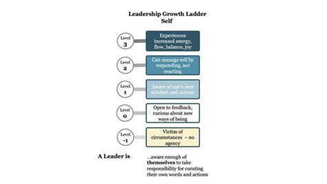 Function Less Leader Model 的图像结果