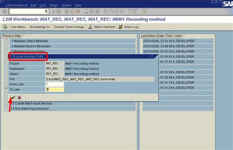 LSMW Step by Step Process 的图像结果
