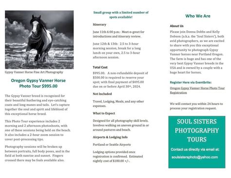 Oregon Gypsy Vanner Horse Photo Tour for $995.00, Portland OR, Garden ...